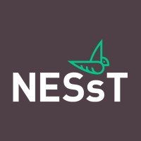 NESsT Lirio Fund logo