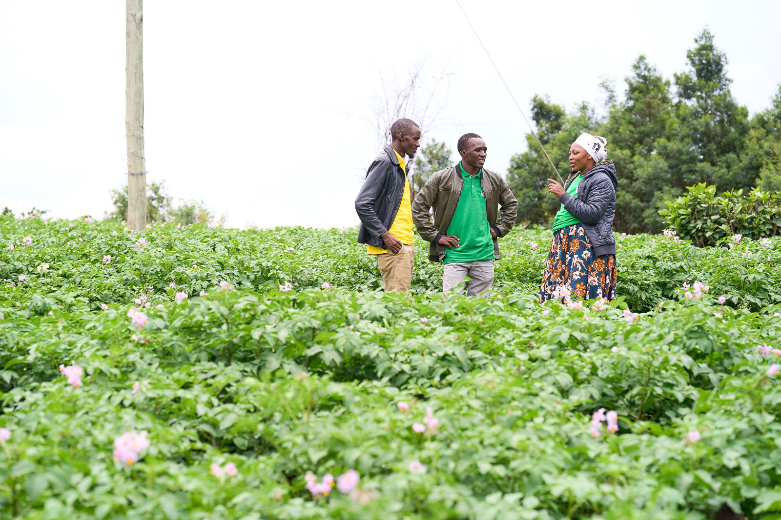 Open Road Impact - East Africa Foods