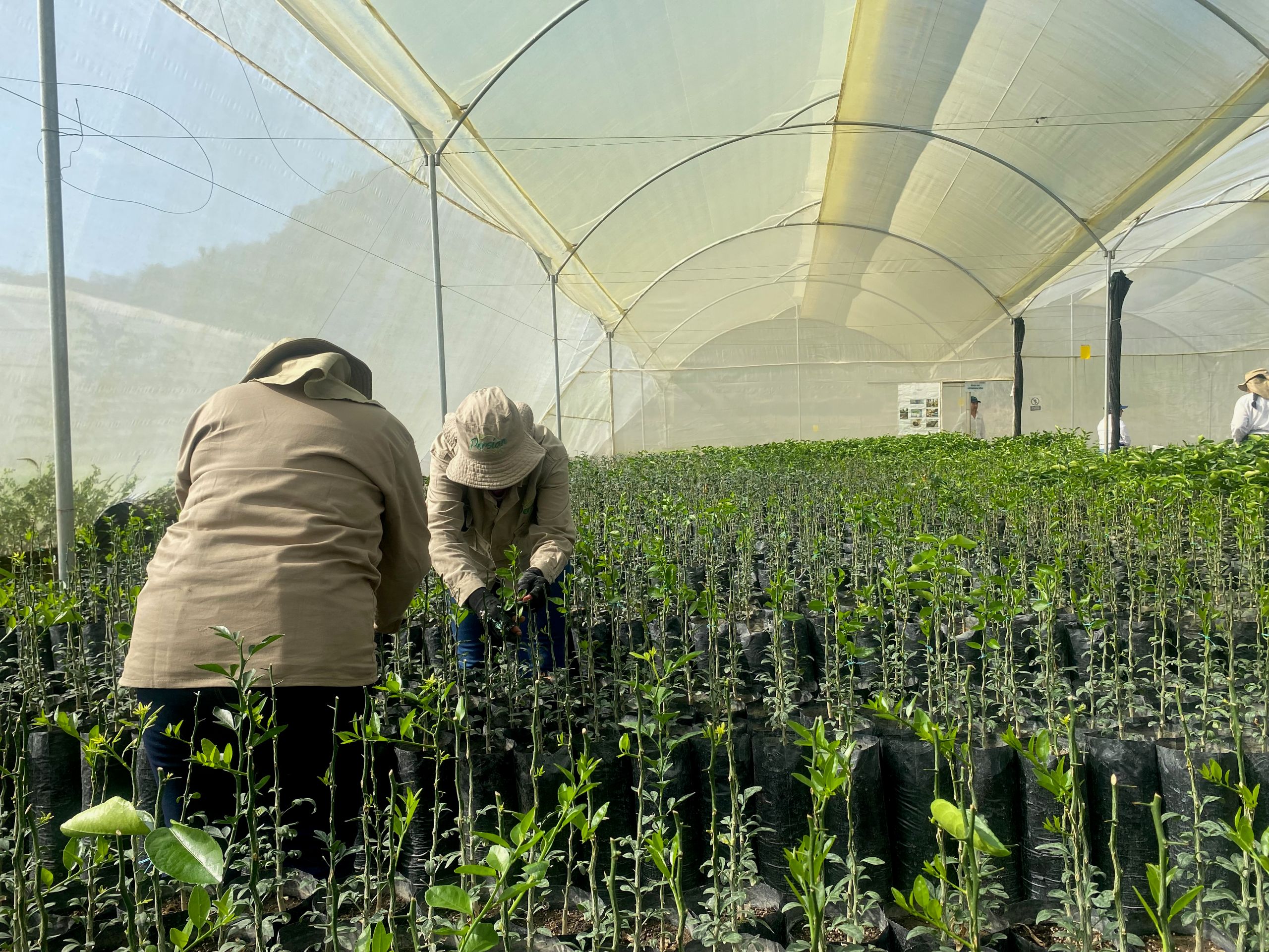 EcoEnterprises Fund IV